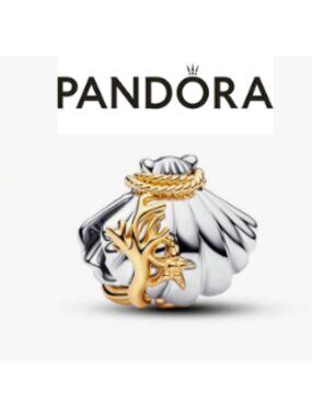 New seashell silver and gold charm